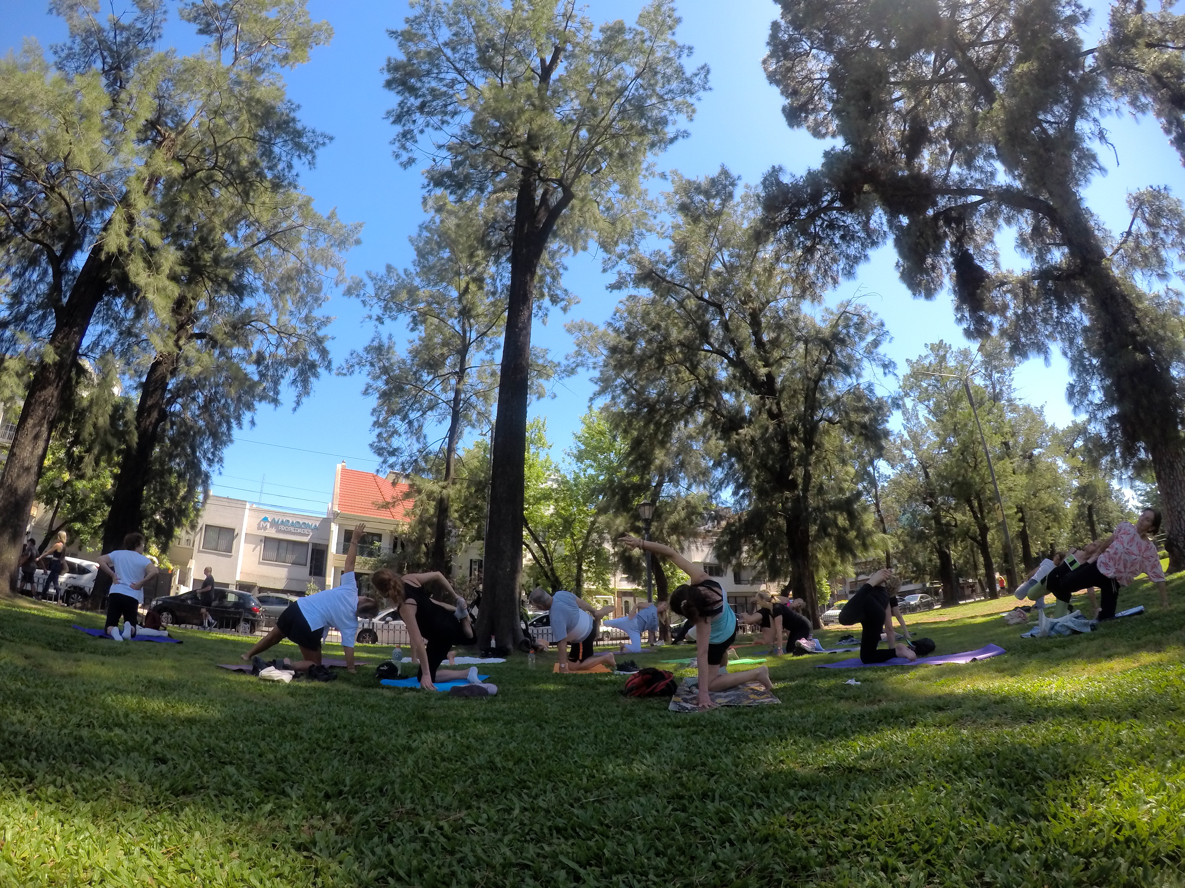 Clase de yoga gratuita de Cauce Yoga en Plaza Arenales, Villa Devoto, Buenos Aires